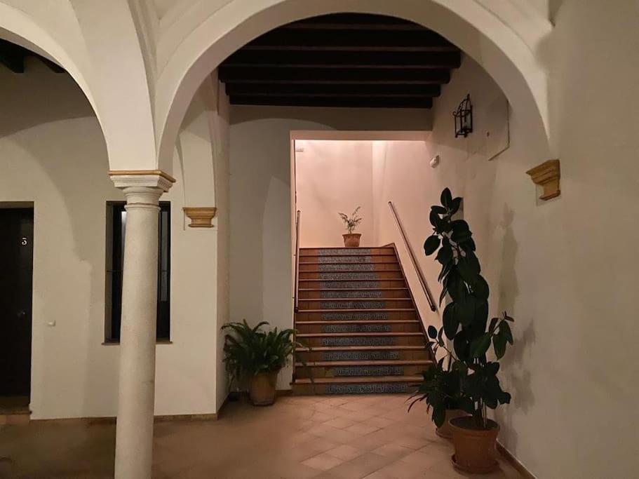 Appartement Atico Duplex Con Garaje *